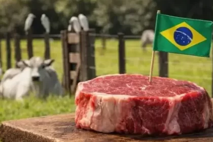 Carne bovina brasileira em novo patamar com avanço para mercados asiáticos