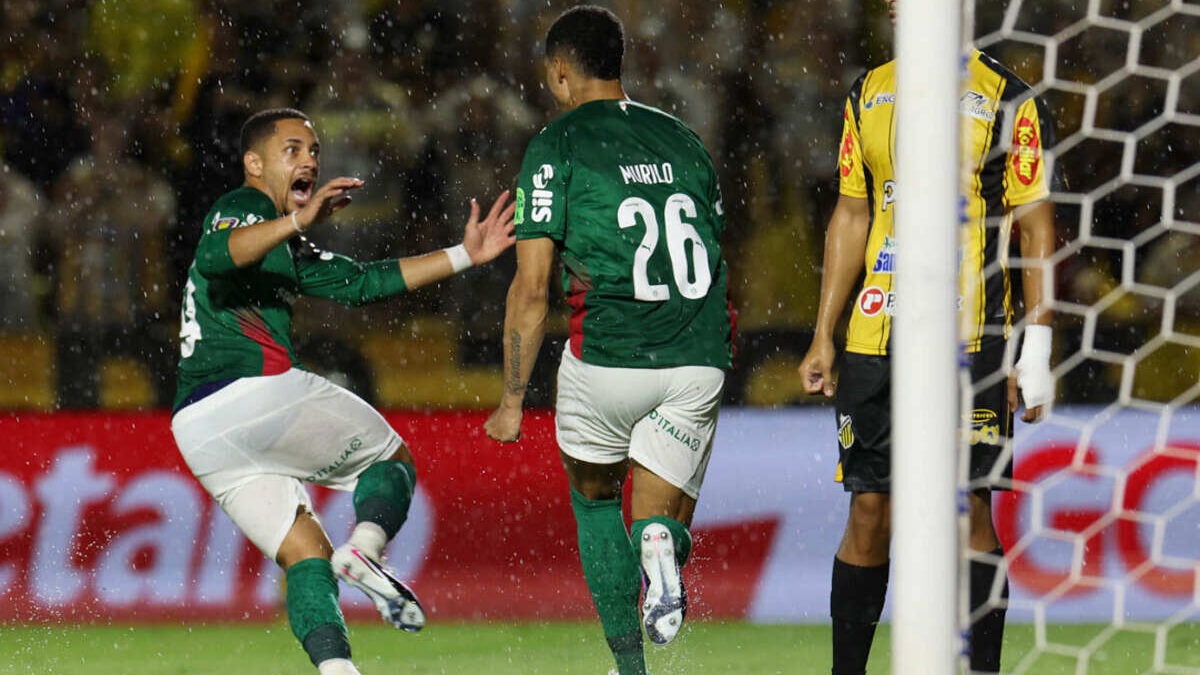 Imagem da noticia Palmeiras desbanca o Novorizontino e conquista o Paulistão pela 27ª vez