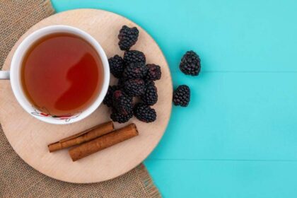 Chá de amora ajuda a aliviar os sintomas da menopausa