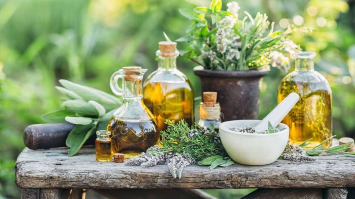 As plantas podem ser excelentes aliadas para aliviar os sintomas da menopausa