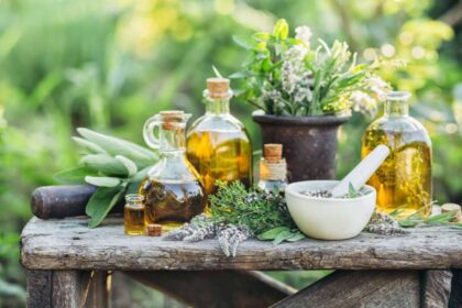 As plantas podem ser excelentes aliadas para aliviar os sintomas da menopausa