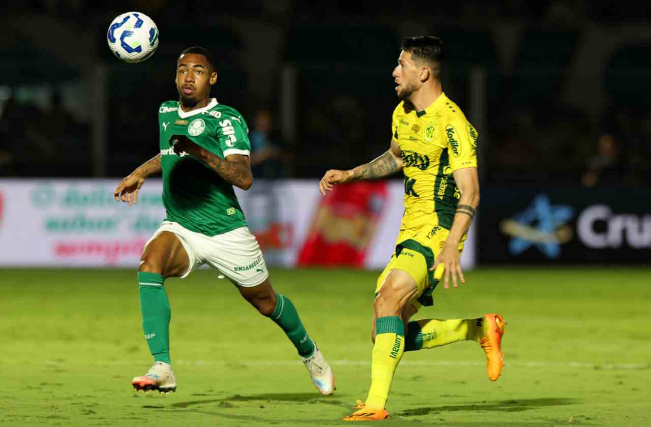 Foto: Reprodução / Palmeiras