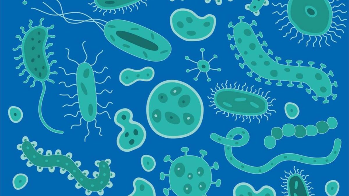 Bactérias resistentes podem se espalhar rapidamente, tornando infecções comuns mais difíceis e caras de tratar – depositphotos.com / AndyFrith