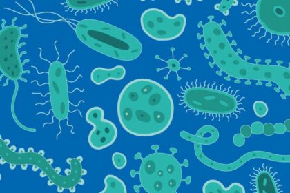 Bactérias resistentes podem se espalhar rapidamente, tornando infecções comuns mais difíceis e caras de tratar – depositphotos.com / AndyFrith