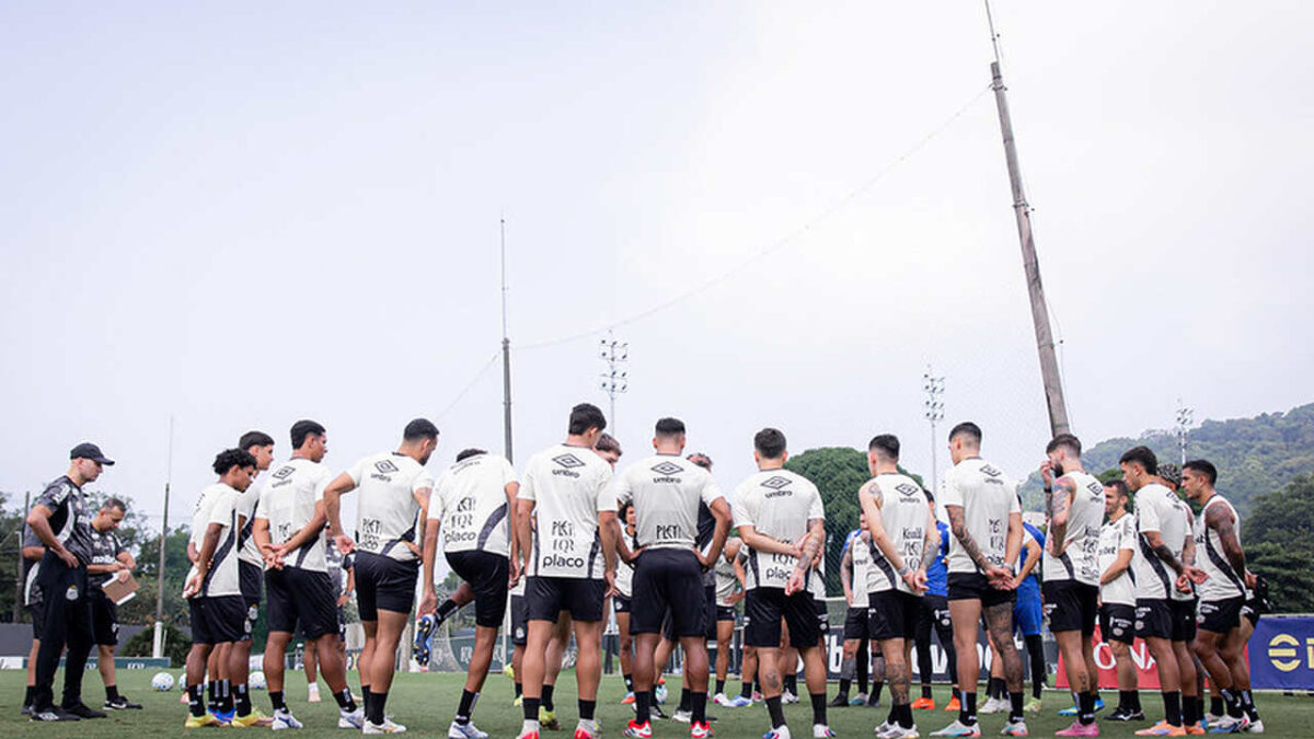 Imagem da noticia Santos estreia na Sul-Americana pressionado por reação
