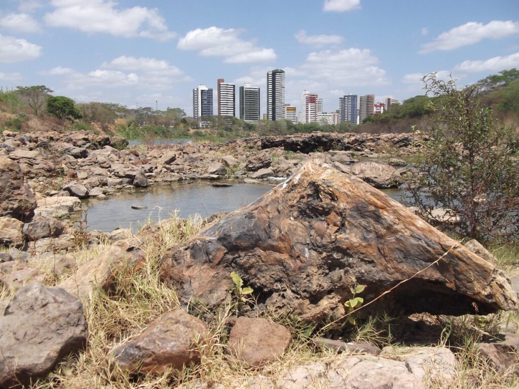 Grande tronco petrificado entre rochas e vegetação na Floresta Fóssil de Teresina, com prédios da capital piauiense ao fundo.