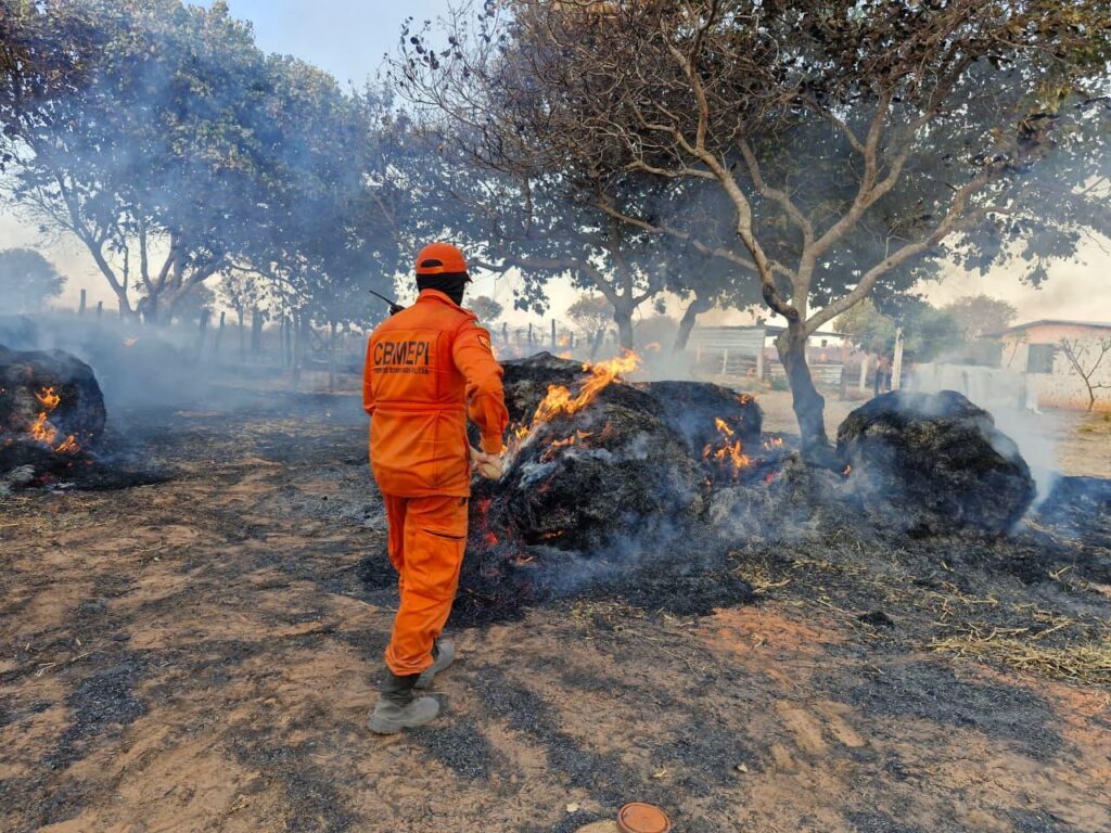 Bombeiro do Piauí, com uniforme laranja, combate chamas em área de vegetação, cercada por árvores e fumaça.