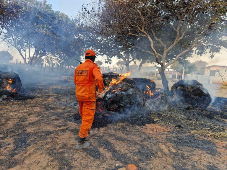 Bombeiro do Piauí, com uniforme laranja, combate chamas em área de vegetação, cercada por árvores e fumaça.