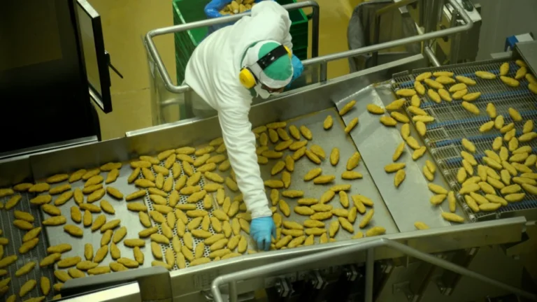 Trabalhador com roupa de proteção branca, luvas azuis e protetores auriculares amarelos manuseia alimentos em uma esteira industrial.