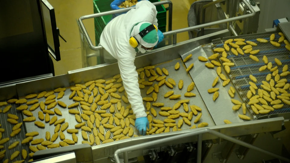 Trabalhador com roupa de proteção branca, luvas azuis e protetores auriculares amarelos manuseia alimentos em uma esteira industrial.