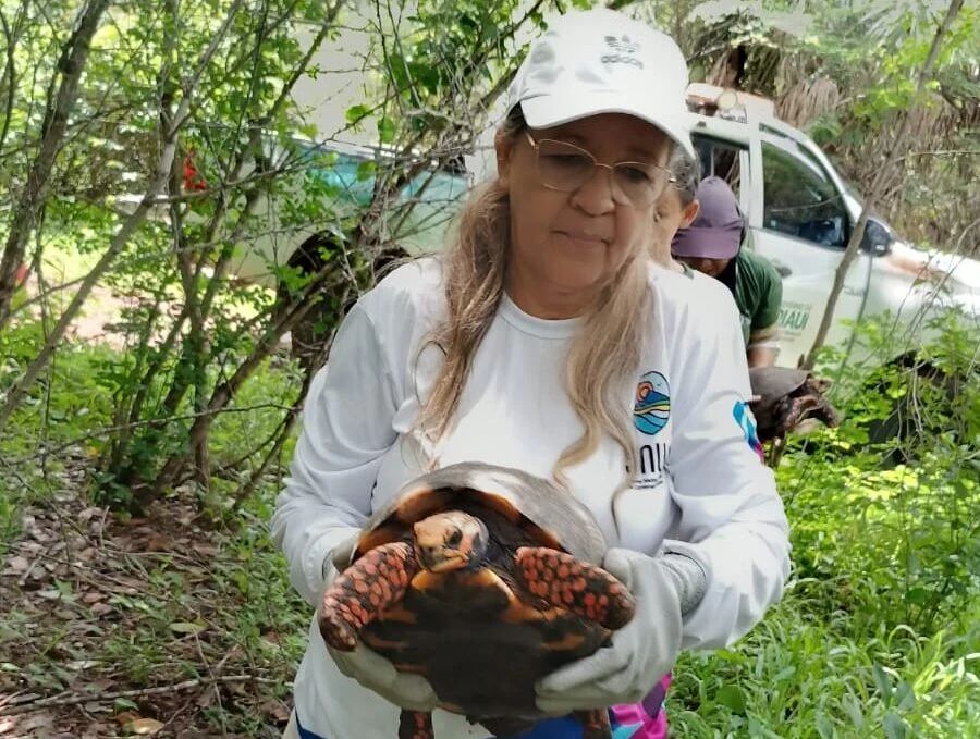 Mulher de boné branco e luvas segura um jabuti em área arborizada.