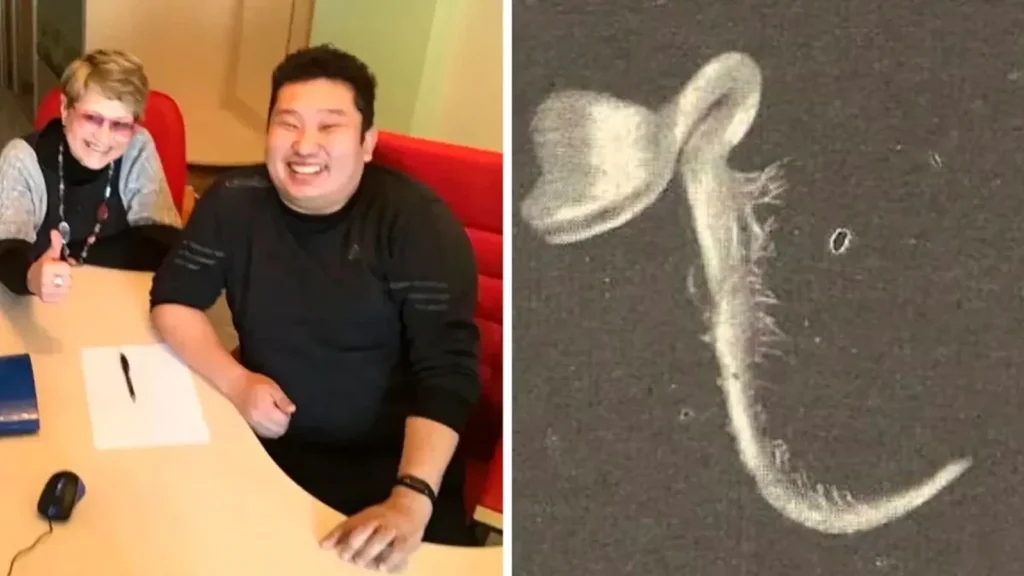 Montagem mostra homem e mulher sorrindo ao lado de uma mesa e, à direita, imagem ampliada de uma pequena estrutura vegetal clara e curvada.