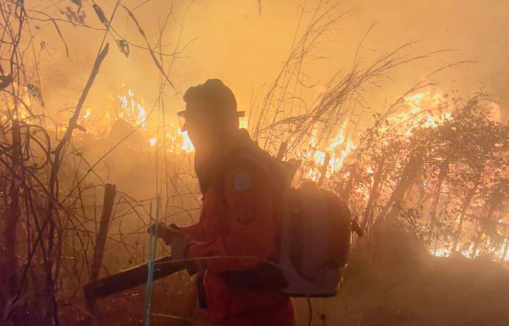 Vegetação atingida pelo fogo, ilustrando a proibição de queimadas controladas em imóveis rurais do Piauí até 30 de outubro de 2026.