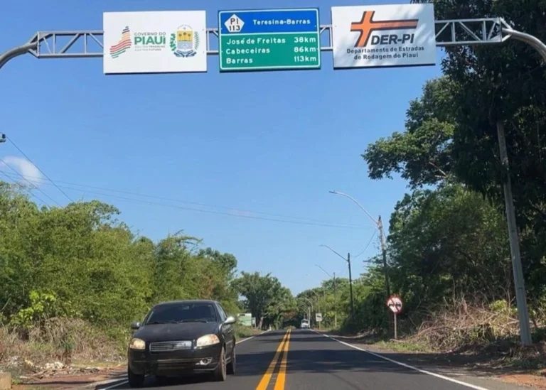 Rodovia asfaltada com carro preto e pórtico de sinalização da PI-113, indicando José de Freitas, Cabeceiras e Barras, com árvores nas margens.