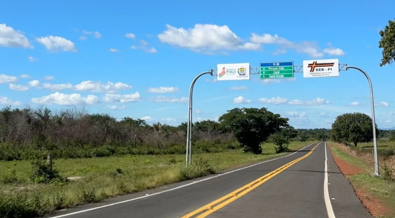 Rodovia asfaltada de pista simples, com faixa central amarela e pórtico de sinalização do DER-PI, cercada por vegetação verde sob céu azul.